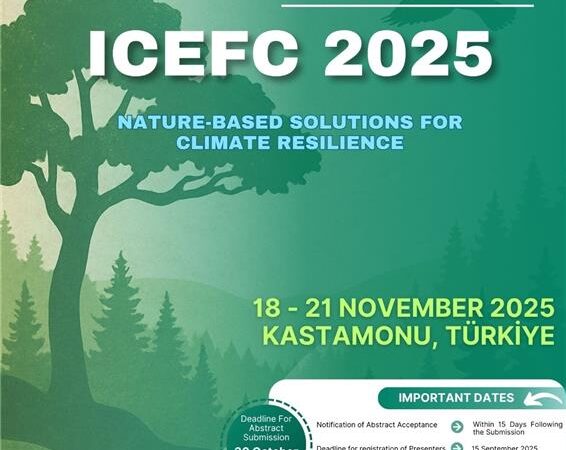 6th ICEFC 2025 Cover Image