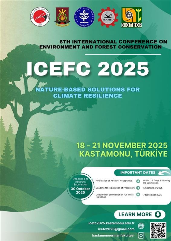 6th ICEFC 2025 Cover Image
